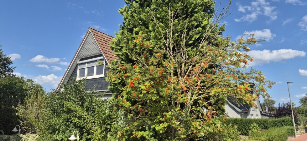 Giebelseitwe Einfamilienhaus Sch�nberg (Holstein)