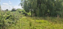jetzt zugewachsen Ufergrundst�ck auf Eigenland in Heidkate, nahe Strand