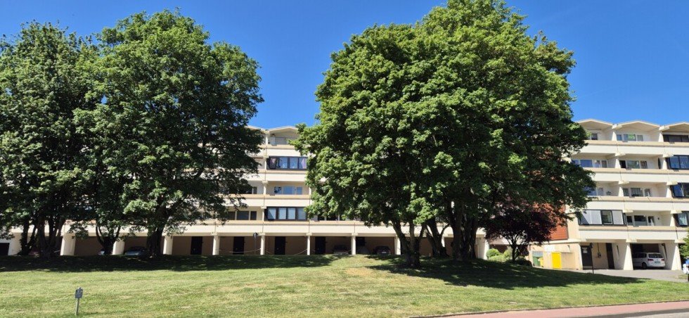 Front Etagenwohnung Sch�nberg (Holstein) / Holm